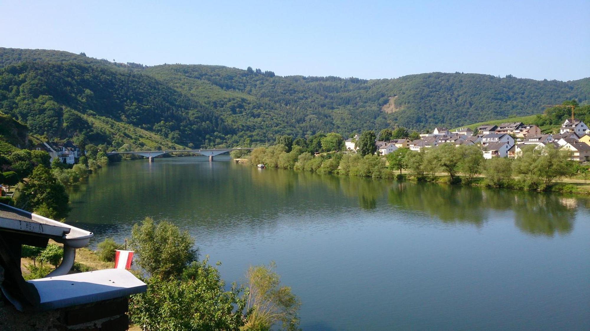 Апартаменты Mosel View Целль-ан-дер-Мозель Номер фото