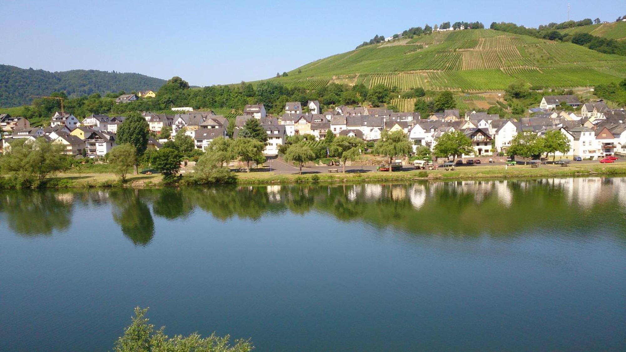 Апартаменты Mosel View Целль-ан-дер-Мозель Номер фото