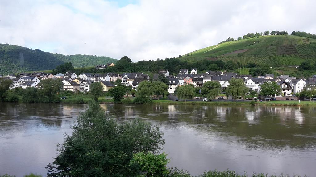 Апартаменты Mosel View Целль-ан-дер-Мозель Экстерьер фото